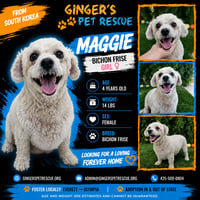 Maggie from Korea - Photo 1