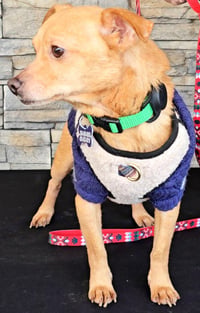 Toby from Mexico - Photo 5