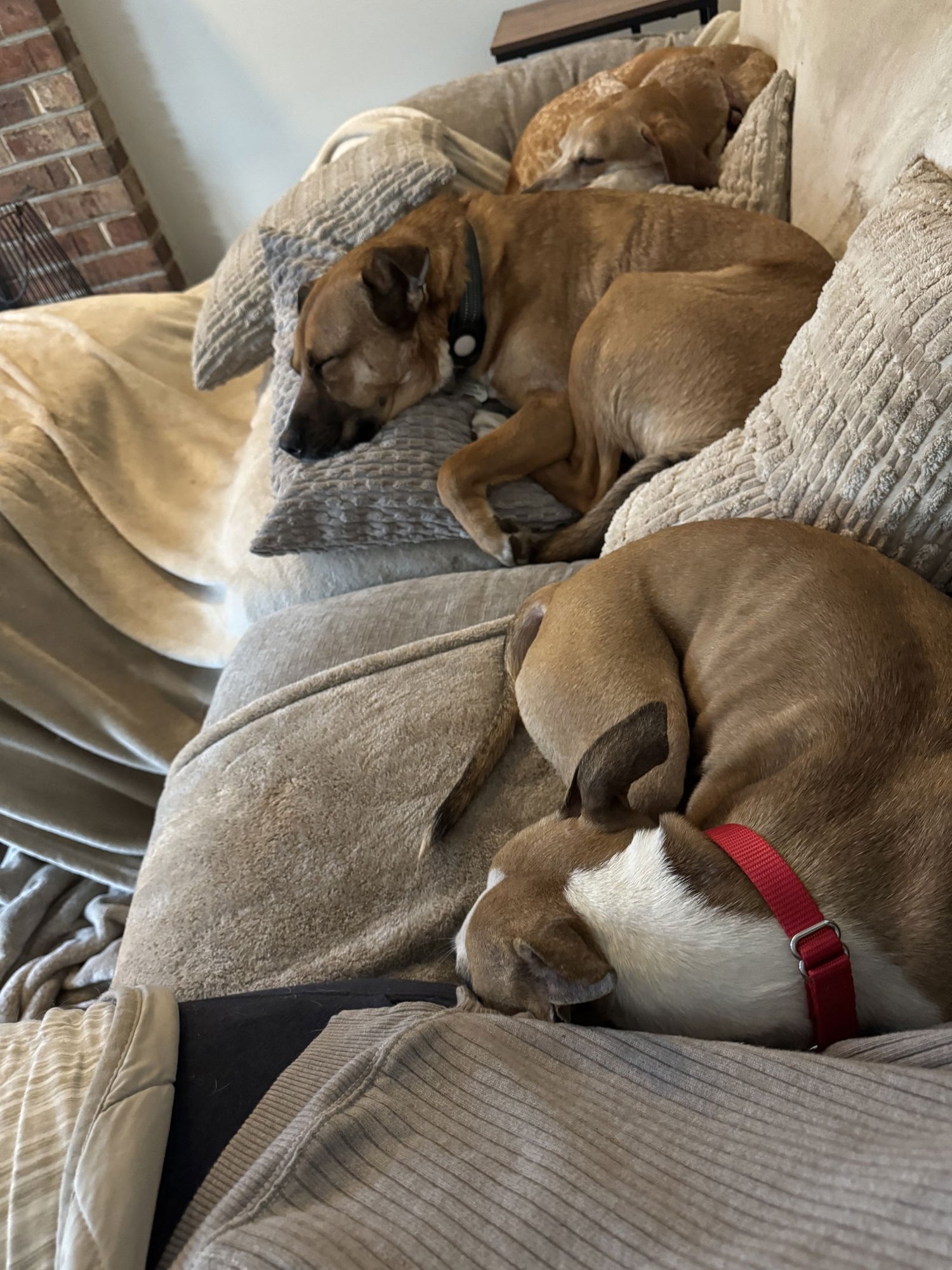 Mitsy - Photo 5