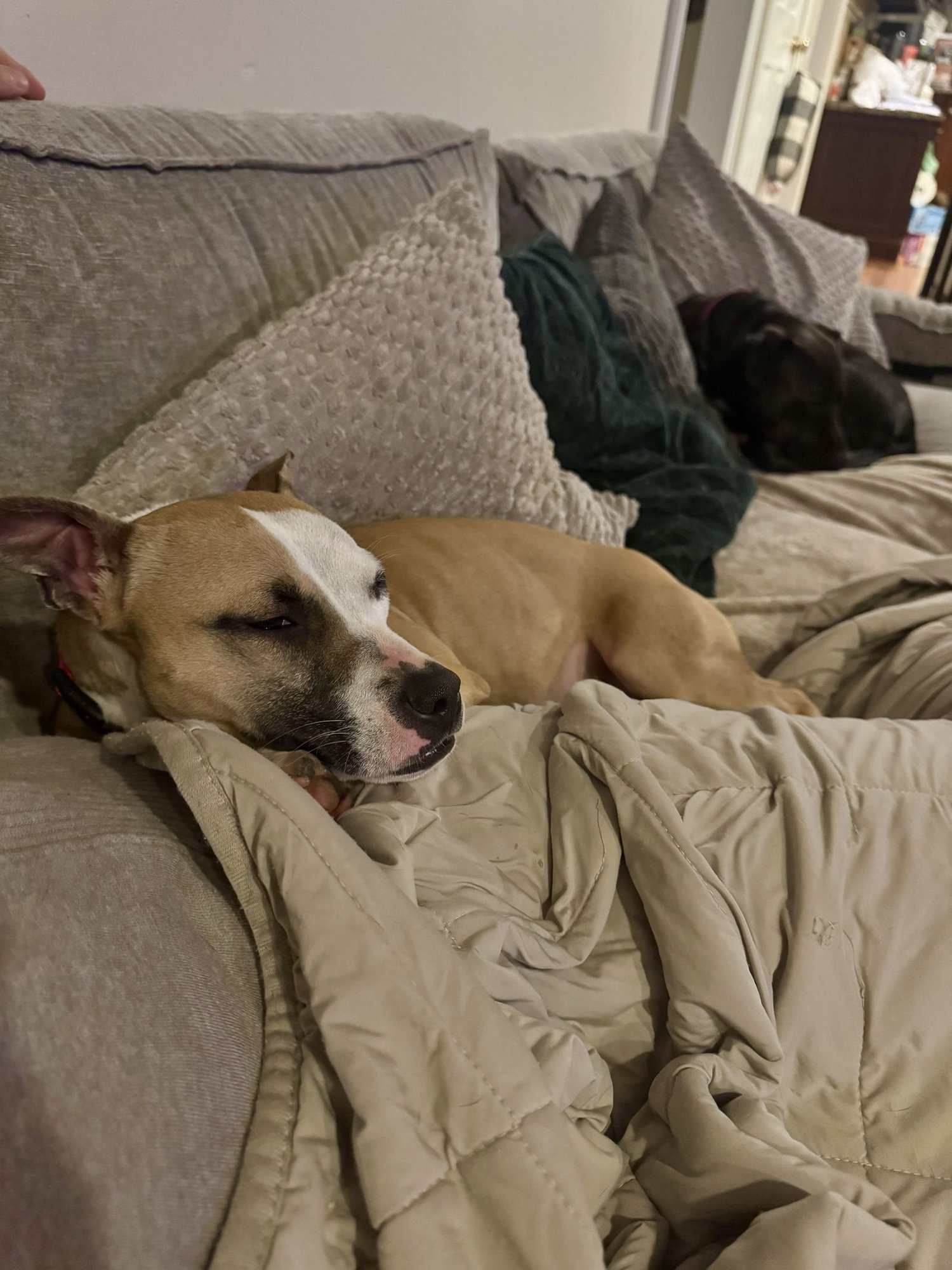 Mitsy - Photo 9