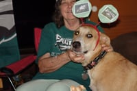 Odie - Photo 7