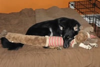 Danny - Photo 4