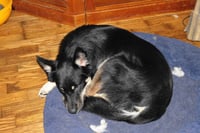 Danny - Photo 6