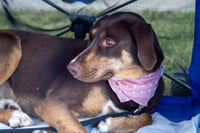 Asher - Photo 5