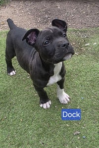 Dock - Photo 6