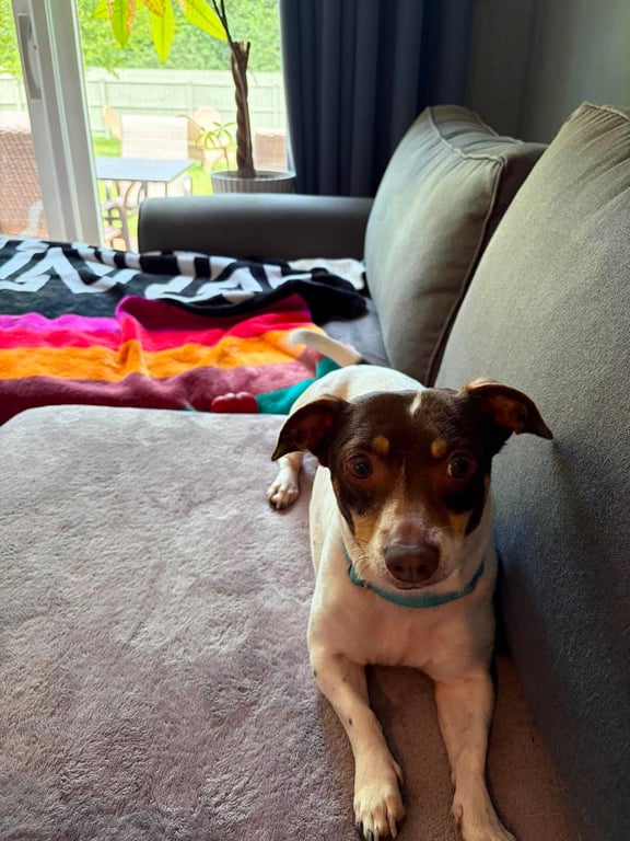 Ruthie Image
