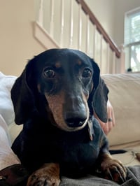 Jenny Monument - Photo 1