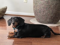 Jenny Monument - Photo 2