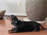 Jenny Monument - Photo 3