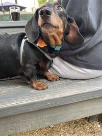 Jenny Monument - Photo 4