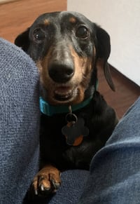 Jenny Monument - Photo 5