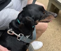 Jenny Monument - Photo 6