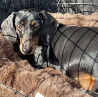 Jenny Monument - Photo 7