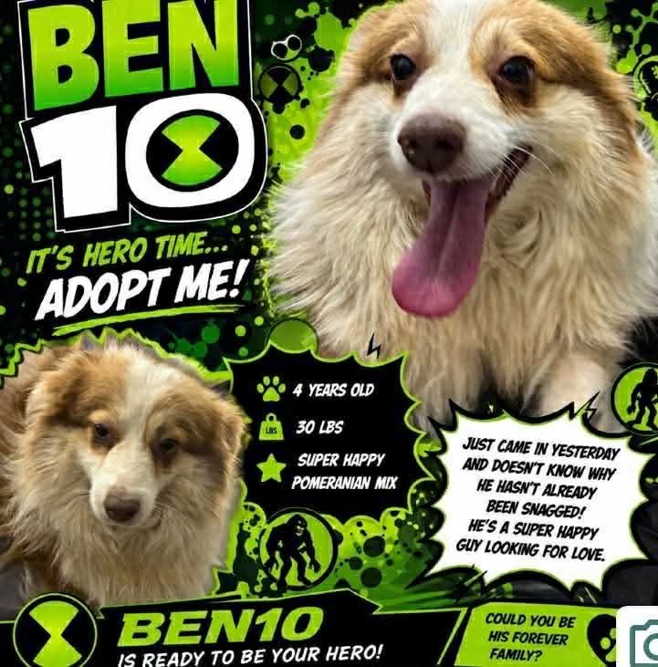 Ben Image