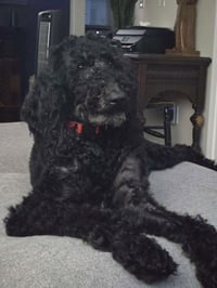 Sophia - Photo 4