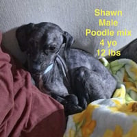 Shawn - Photo 1