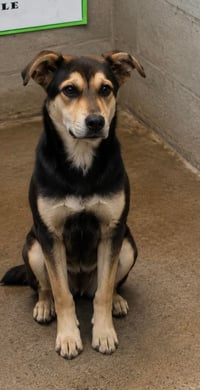 Floyd - Photo 1