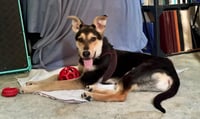 Floyd - Photo 7