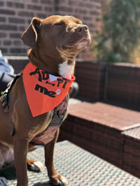 Abby C. - Photo 6