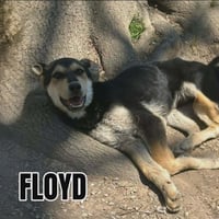 Floyd - Photo 1