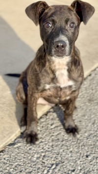 Torkin - Photo 3