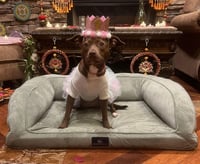 Abby C. - Photo 5