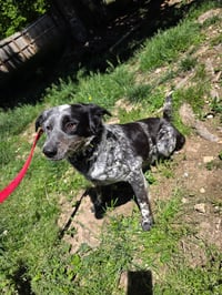 Ellie Mae - Photo 2