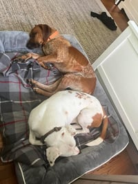 Ottis - Photo 5