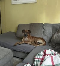 Ottis - Photo 10