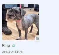 King - Photo 4