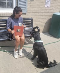 Bart (Foster or Adopter needed!) - Photo 5