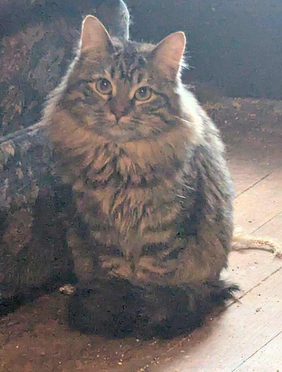 Berry ⭐️ - Photo 3