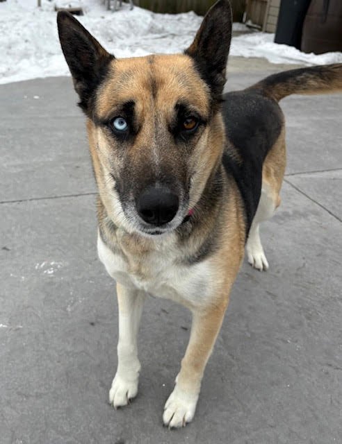 Mollie Mae - Photo 4