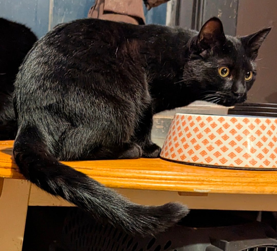 Viv ⭐️ - Photo 3