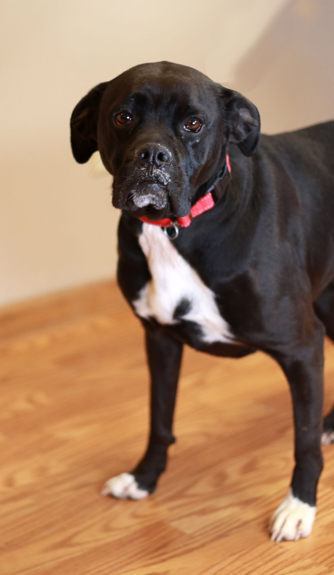 Pudgy Boots - Photo 3