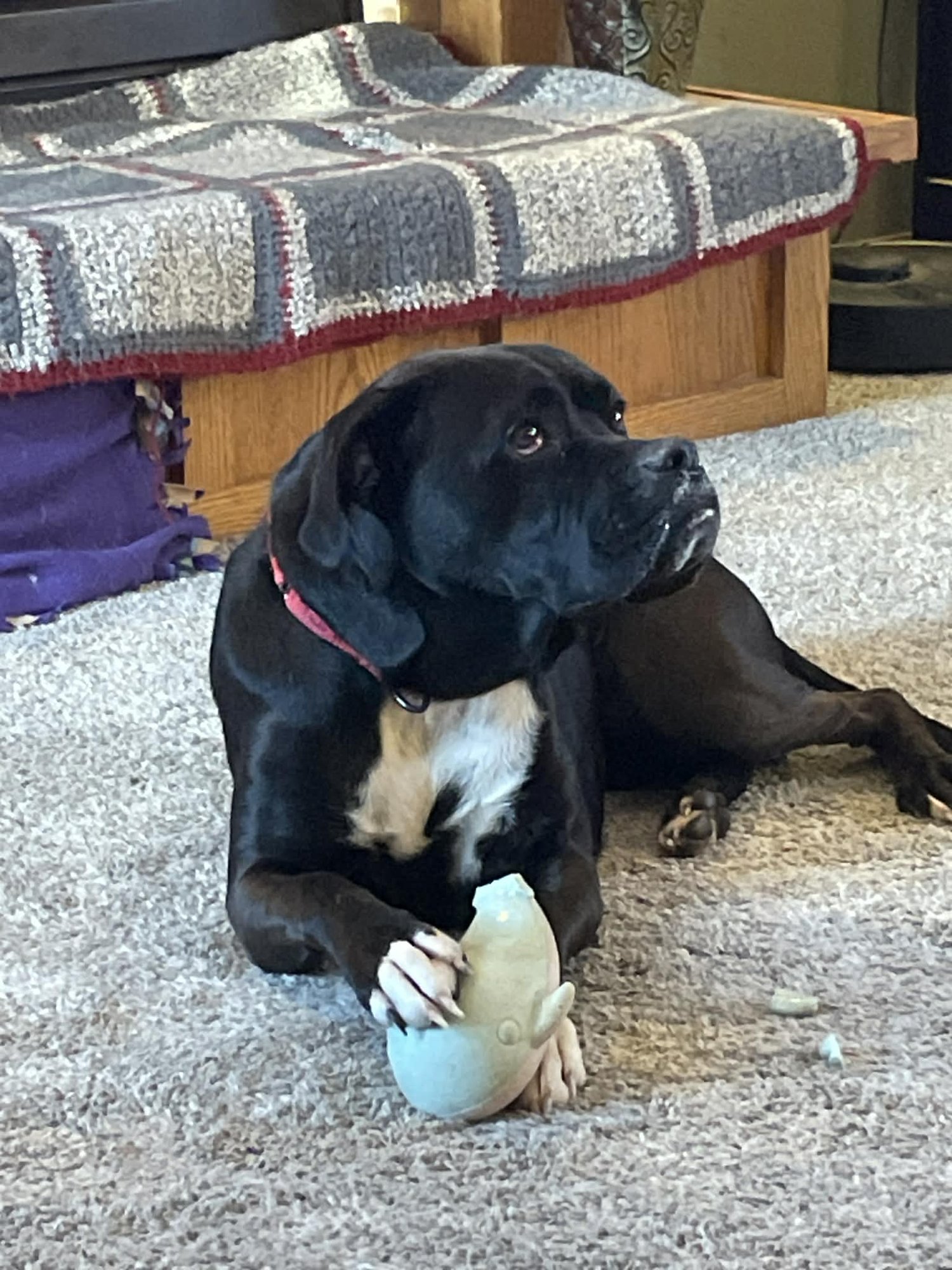 Pudgy Boots - Photo 6