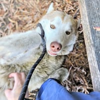 Gio - Photo 3