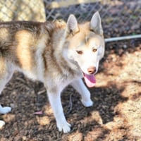 Gio - Photo 5
