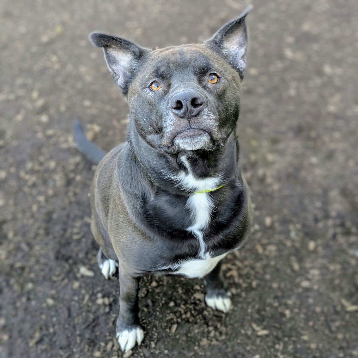 Bartholomew - Photo 3