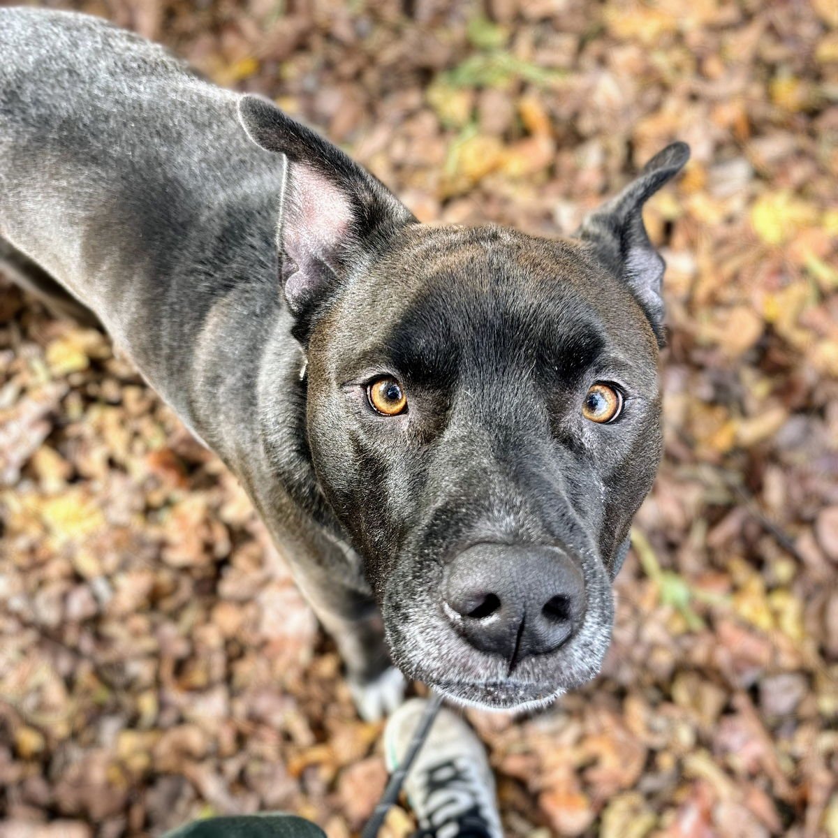 Bartholomew - Photo 4