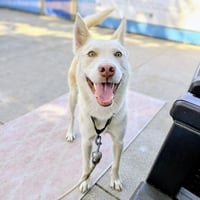 Bumper - Photo 6