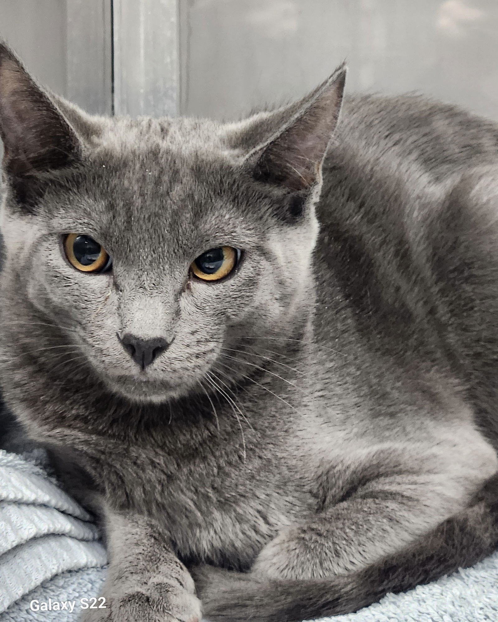 Amberly (bonded w/ Lunelle) - Photo 7