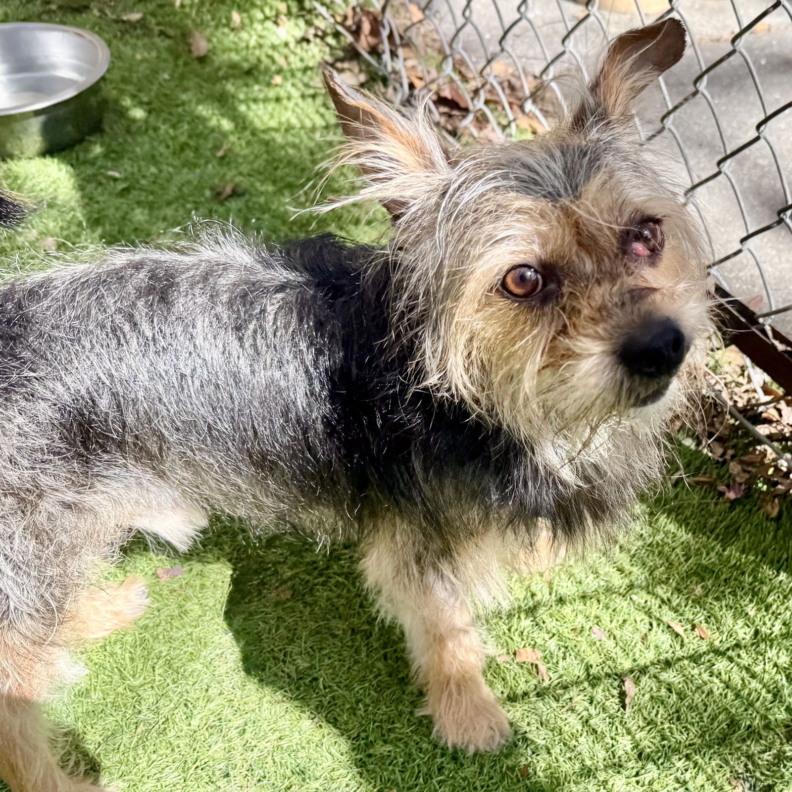 Prince Harry - Photo 6