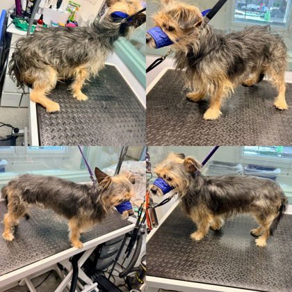 Prince Harry - Photo 7