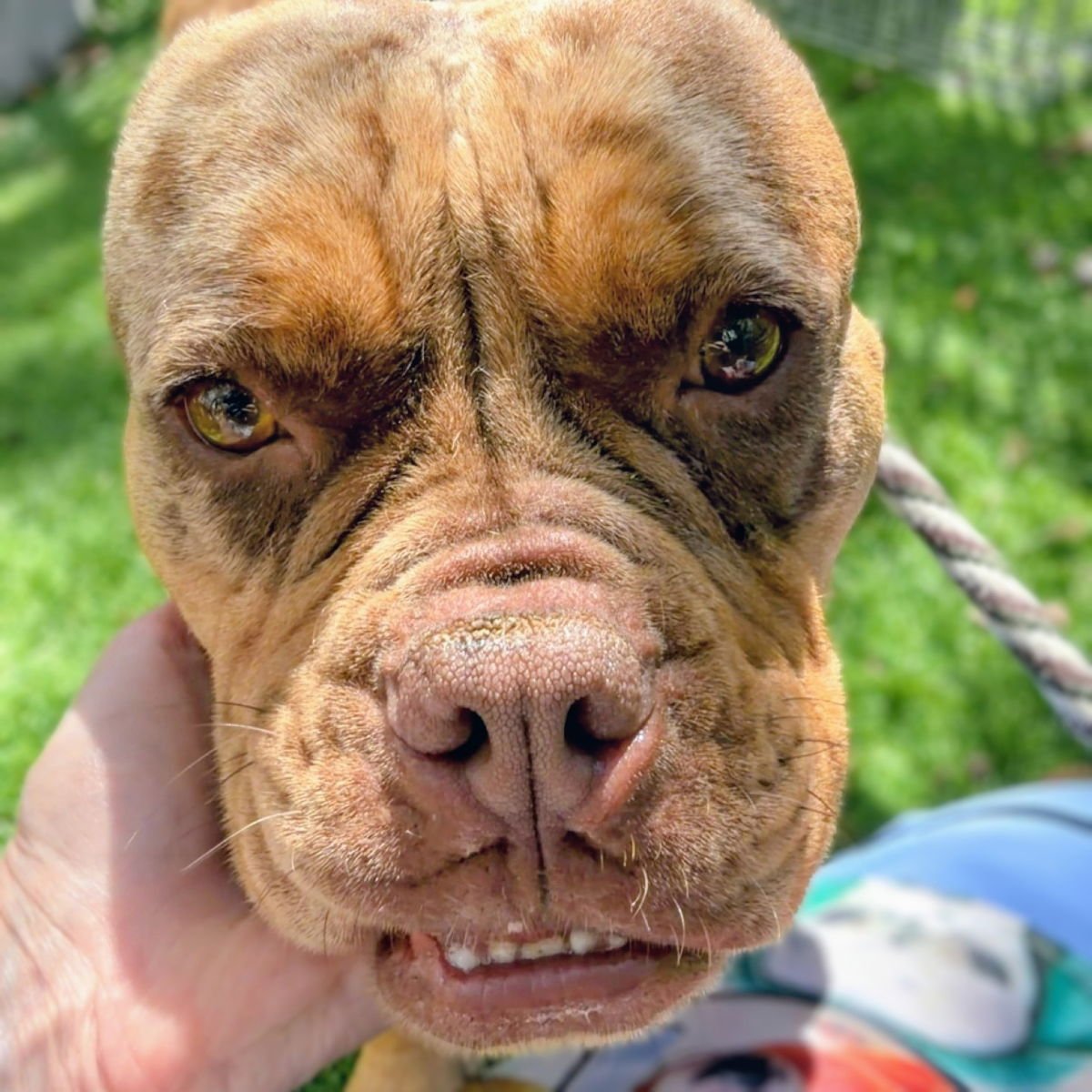 Terabithia - Photo 5