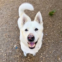 Trudy - Photo 3