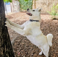 Trudy - Photo 2