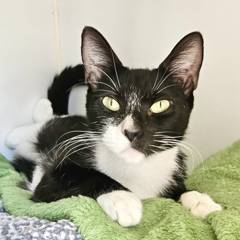 Penelope Image