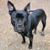 Cubby - Photo 5