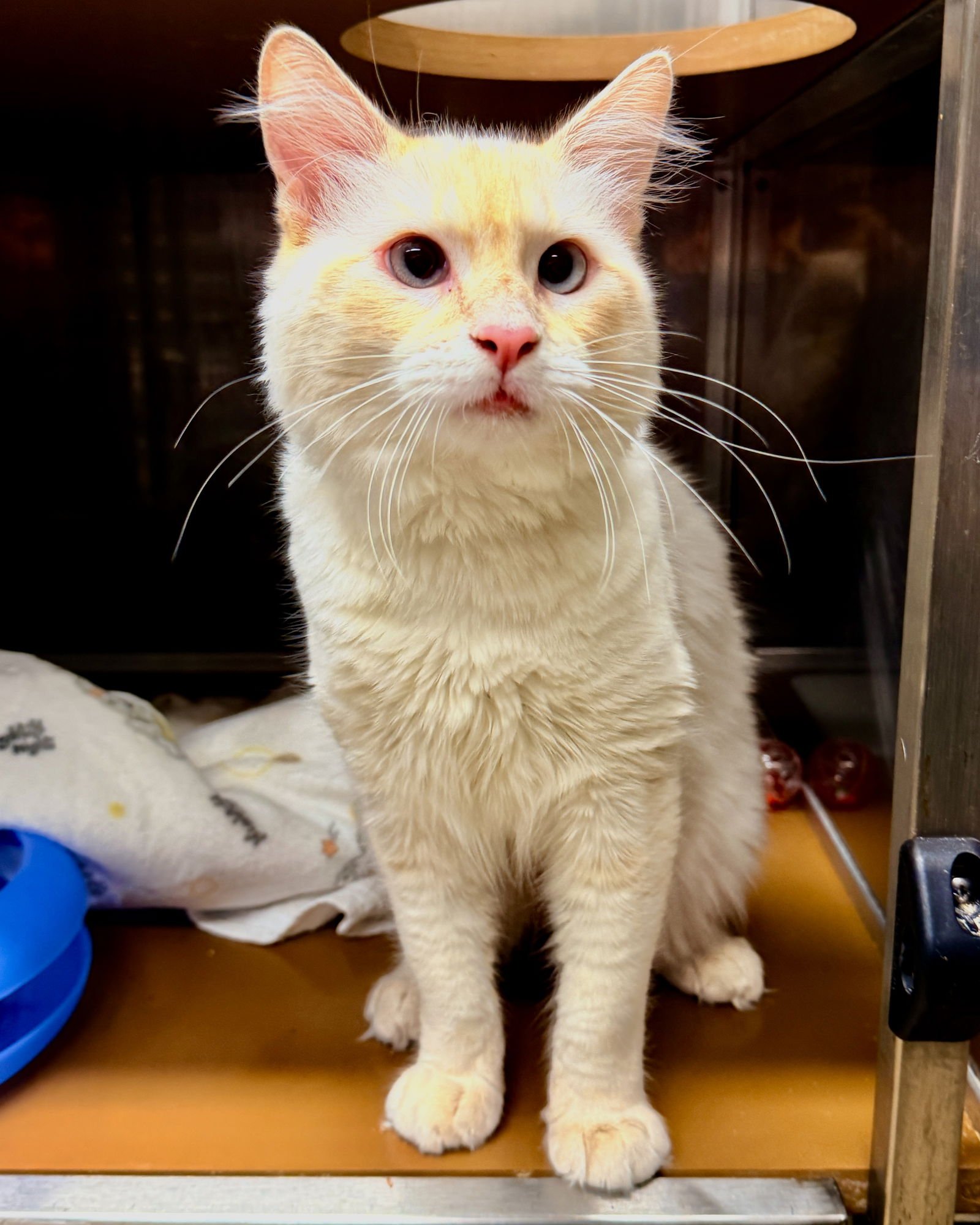 Toast Malone - Photo 6